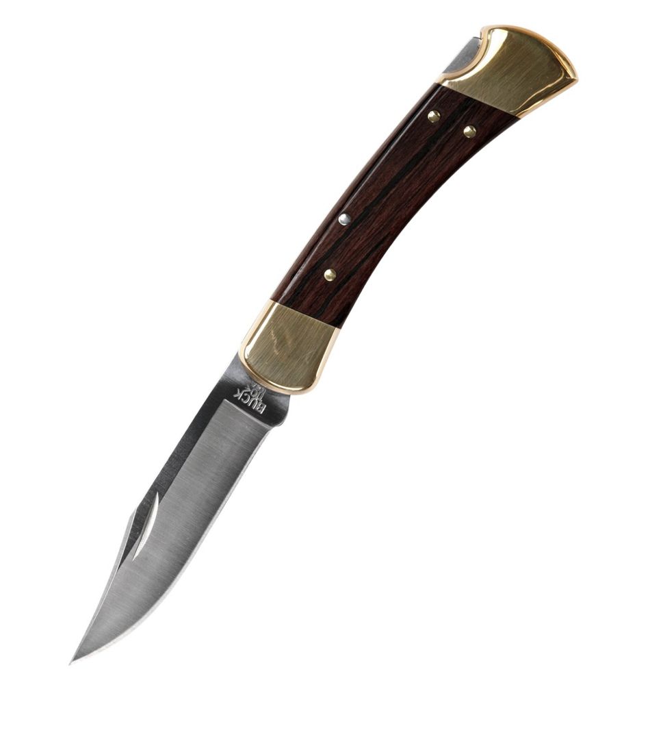 Buck 110 Hunter Lockback