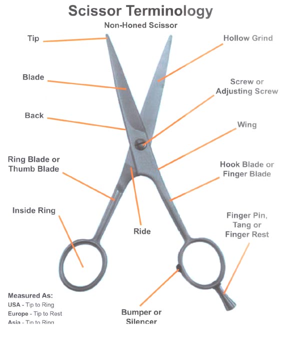 parts of scissors