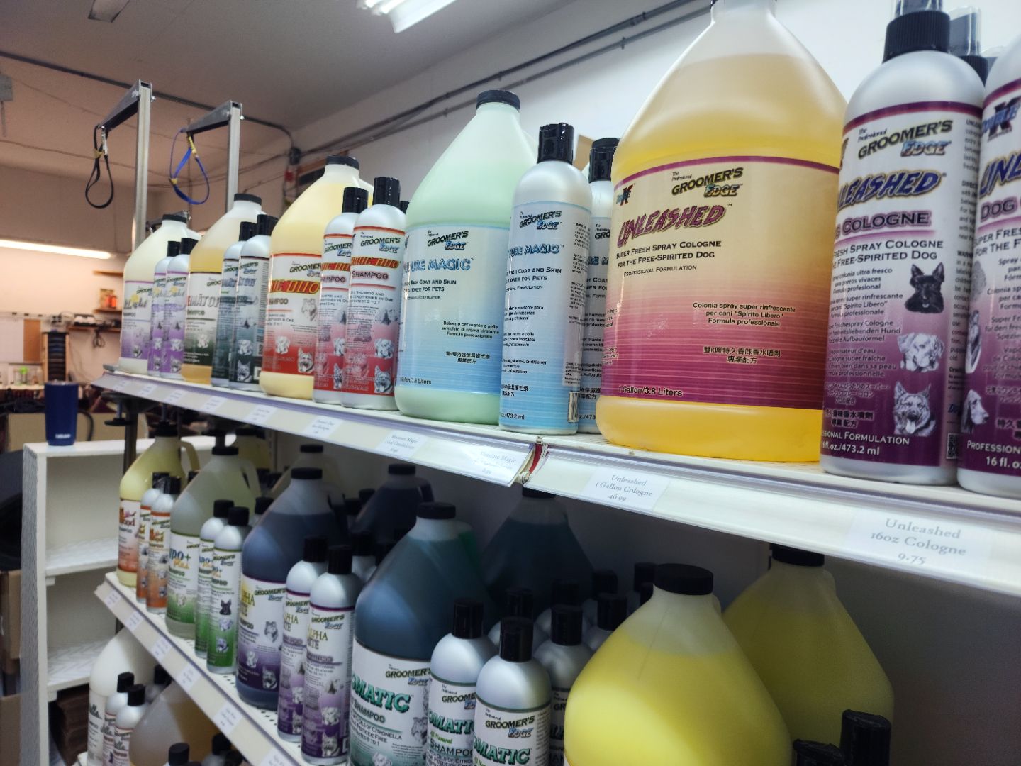 Lineup of Double K dog shampoos at Precision Sharpening